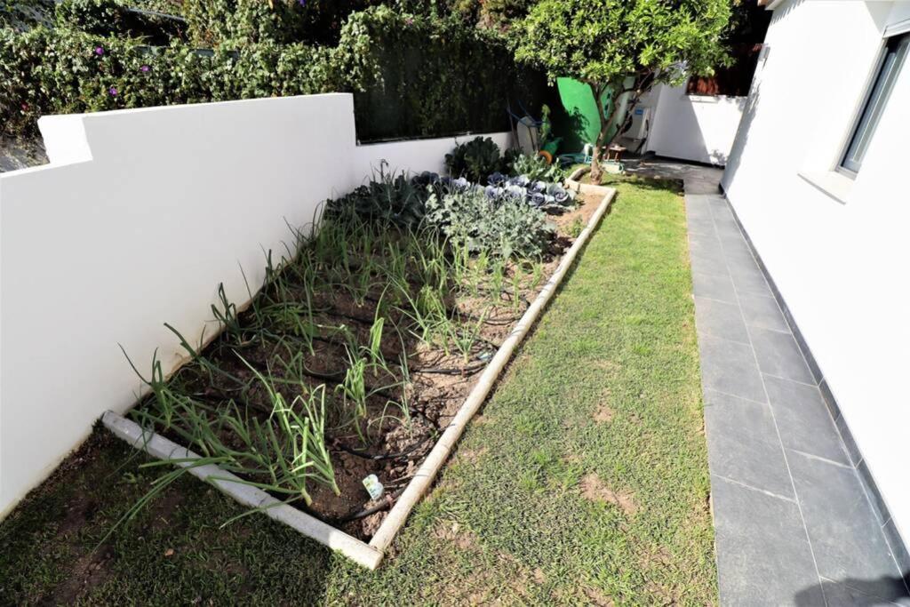 Hoyo 19 Villa Marbella Kültér fotó